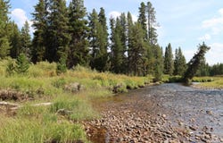 L49 Secesh River Road, McCall, ID 83638