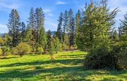 124 Lower Syringa Rd, Dover, ID 83825