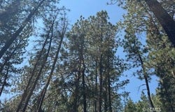 Whitetail Lane, Bonanza, OR 97623