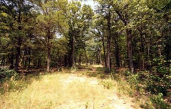 10 County Road 2263, Valley View, TX 76272