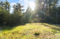 16470 Jamison Creek RD, BOULDER CREEK, CA 95006