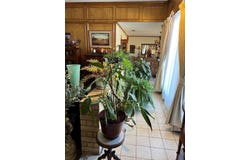 2604 33rd St, Snyder, TX 79549