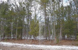 1983 BUNKER DRIVE, KALKASKA, MI 49646
