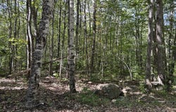 L 35-3 Jones Hill Road, Appleton, ME 04862