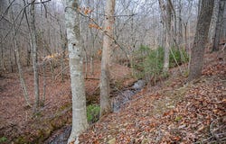 Troublesome Creek Rd, Buckingham, VA 23921