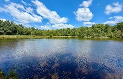 96 Helmering Road, Steelville, MO 65565