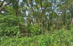 6831 E Glencoe Street, Inverness, FL 34452