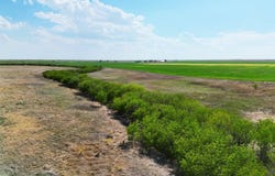 Z Blvd, Richfield, KS 67953