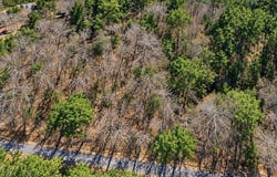0.5 Poplar Ridge Road, Oneonta, AL 35121