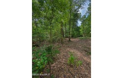 Second Avenue, Waynesville, GA 31566