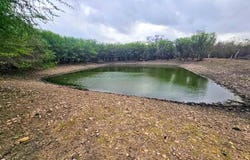 415 Black Watch Ln, Lockhart, TX 78644