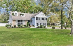 310 Old Grove Rd, Mountainside Boro, NJ 07092-2118