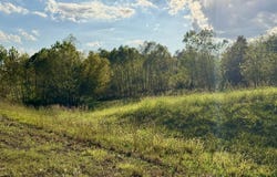 Hwy 9, BELDEN, MS 38826