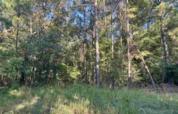 LANE BRANCH ROAD lot: 19.28 Acres, WEDOWEE, AL 36278
