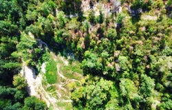 168 Wedgewood Drive, Dover, TN 37058