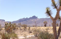 327-05-339 N Lost Mine Drive, Dolan Springs, AZ 86441