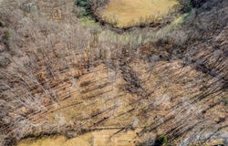 Forest Circle, Sparta, TN 38583