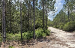 Corbitt Road lot: 5, Manor, GA 31550