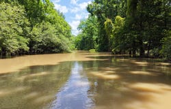433 Sharkey rd., Tullulah, LA 71282