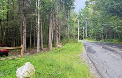 Werden Rd lot: 2-34, Otis, MA 01253