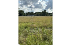 Shepherd Road, Mt Pleasant, MI 48858