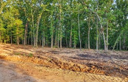 003 Cantrell Road, Mansfield, MO 65704