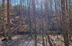 County Road 325, Hamilton, AL 35570