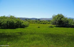 060 Old Chambers Road, Markleeville, CA 96120
