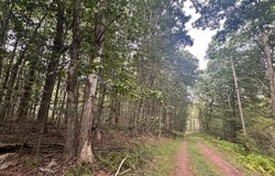 A50 Sage Road, Blakeslee, PA 18610
