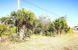 142 SUNNY Way, ROTONDA WEST, FL 33947