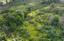 Ellis Hollow Road, Ithaca, NY 14850