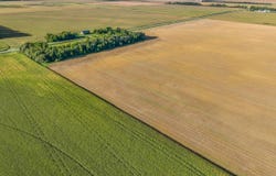 33rd, Fordville, ND 58231