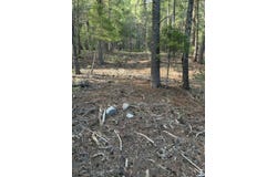 Woodchuck, Cloudcroft, NM 88317-9800