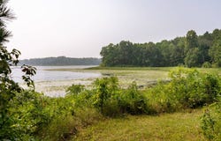 Turtle Lake Dr NW lot: 2, Walker, MN 56484