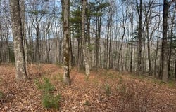 Lt 4,5,6 Abercrombie Estates lot: 4, 5, 6, Suches, GA 30572