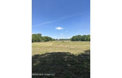 Holly Bush Road, Brandon, MS 39047