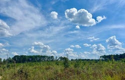 FM 251 N, Bloomburg, TX 75556