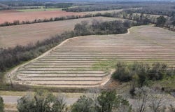 Lot 4 Adams Road, Ashford, AL 36312