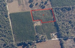 225th Road, Live Oak, FL 32060