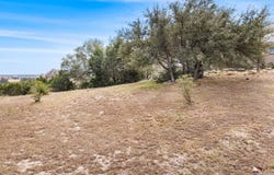105 TOWNE VIEW CIR, Boerne, TX 78006