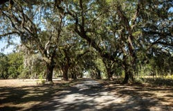 1939 Mauricena Rd., Georgetown, SC 29440