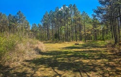 Campbell Road, Bonnerdale, AR 71933