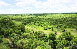 569 FM, Cisco, TX 76437