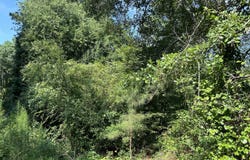 Hardee Road, Fuquay Varina, NC 27526