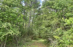 Mccomb Holmesville Road, McComb, MS 39648