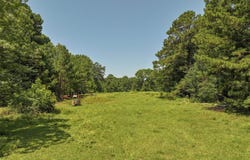 6394 County Road 3204, De Kalb, TX 75559