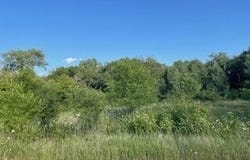 Lucille Lane lot: 42, Merrimac, WI 53561