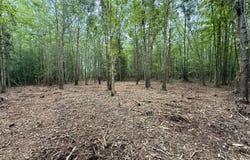 Mobley Road lot: 2, Lucama, NC 27851