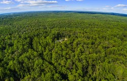 Sassafras lot: 196, Brookeland, TX 75931