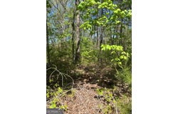 Windfield Circle, Blue Ridge, GA 30513
